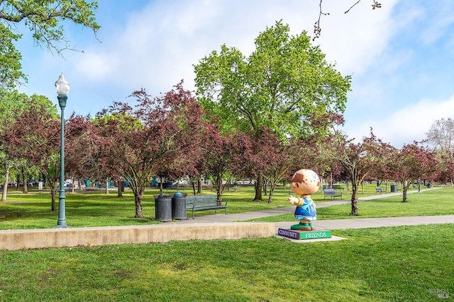 view of community with a lawn