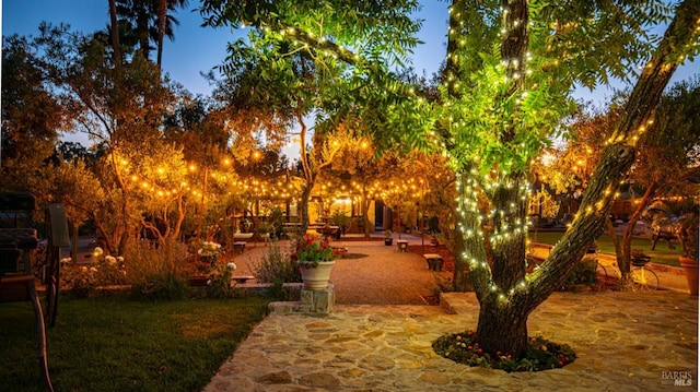 view of property's community featuring a patio area and a lawn