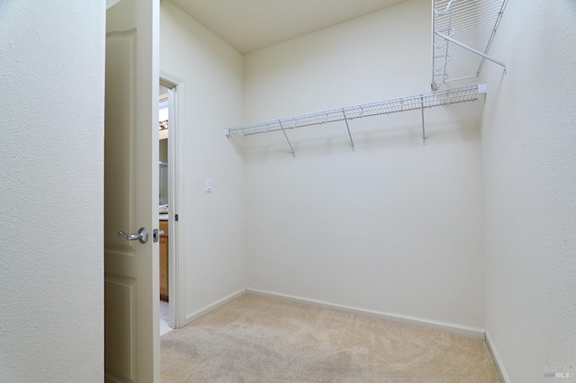 spacious closet featuring light colored carpet