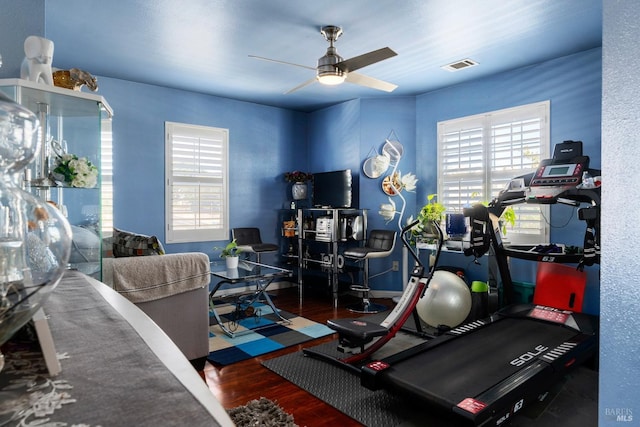 exercise room featuring ceiling fan and wood-type flooring