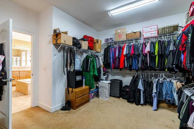 walk in closet featuring carpet