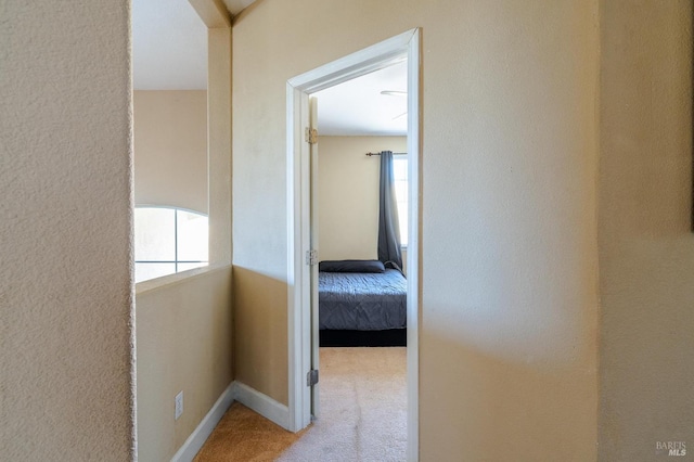 hallway with carpet flooring and a wealth of natural light