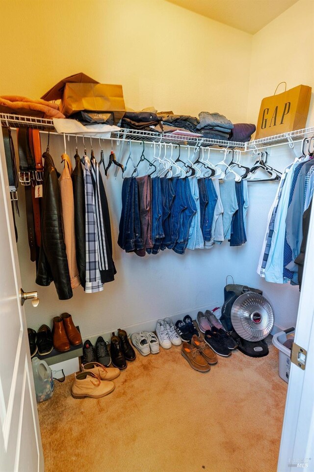 spacious closet with carpet floors