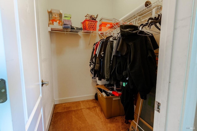 walk in closet featuring carpet floors