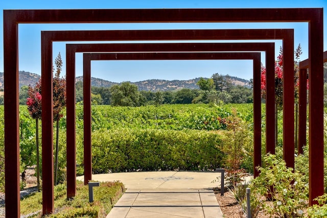 entryway featuring a healthy amount of sunlight and a mountain view