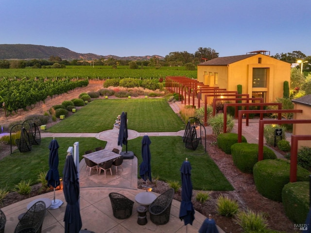 exterior space featuring a rural view, a patio, and a mountain view