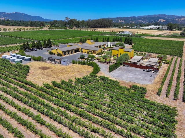 drone / aerial view with a mountain view and a rural view