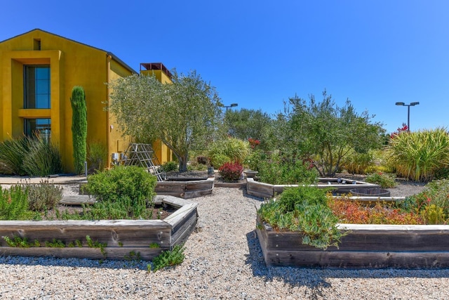 view of yard featuring a garden