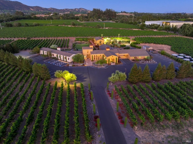 aerial view featuring a rural view and a mountain view