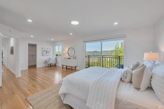 bedroom featuring multiple windows, light hardwood / wood-style flooring, a closet, a spacious closet, and access to outside