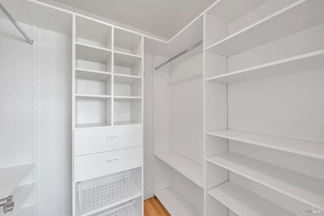 spacious closet featuring light hardwood / wood-style floors