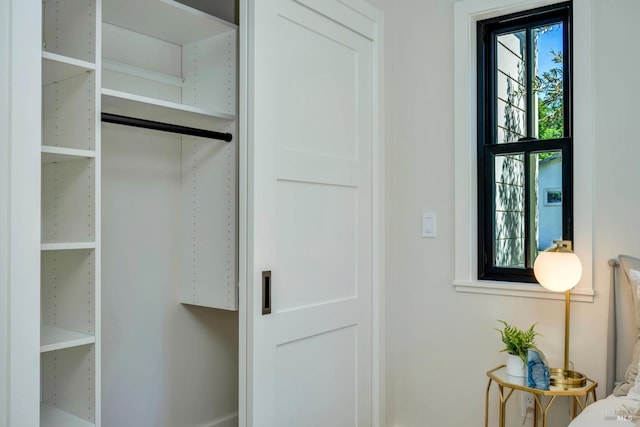 view of closet