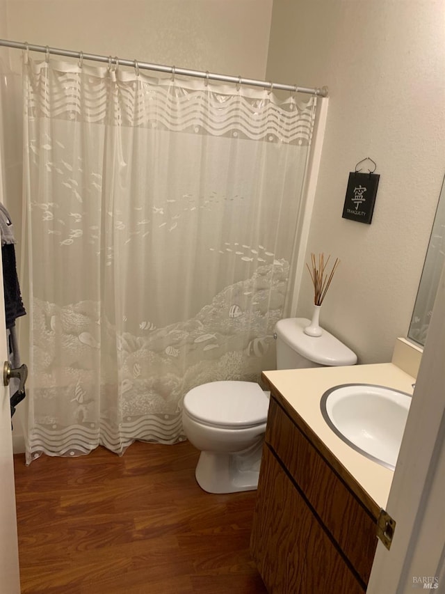 bathroom with vanity, toilet, and wood finished floors