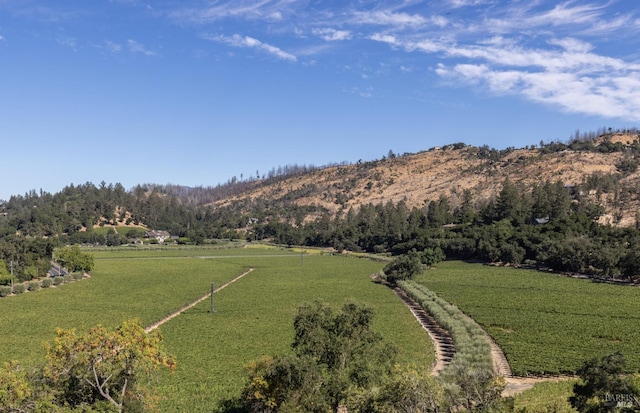 exterior space featuring a lawn, a rural view, and a mountain view