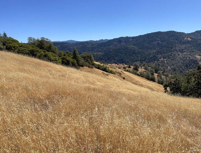 view of mountain feature