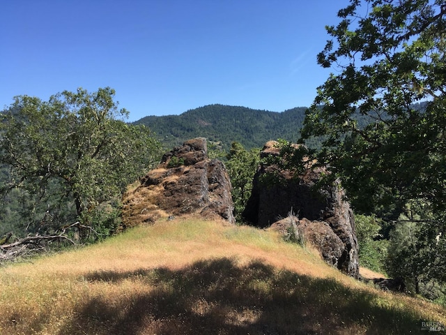 view of mountain feature