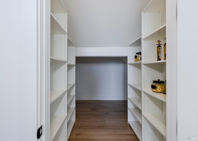 walk in closet featuring dark wood-type flooring