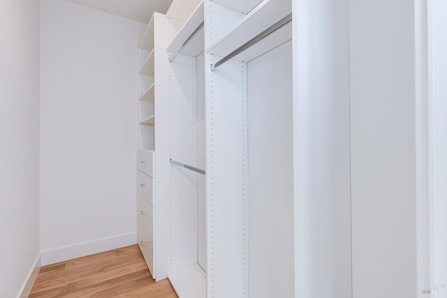 walk in closet featuring light hardwood / wood-style floors