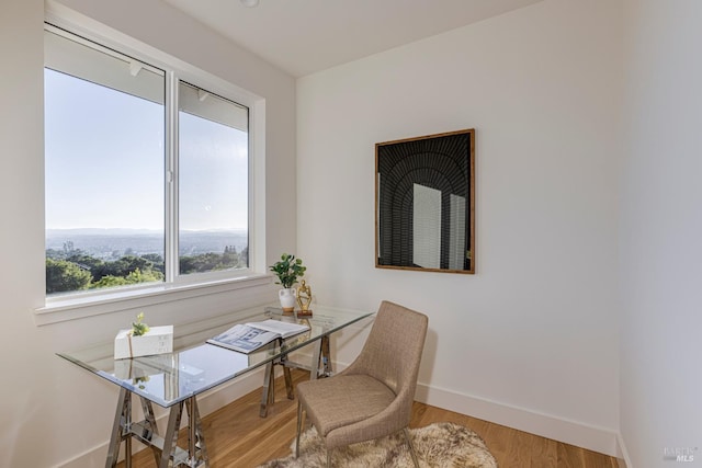 home office featuring hardwood / wood-style flooring