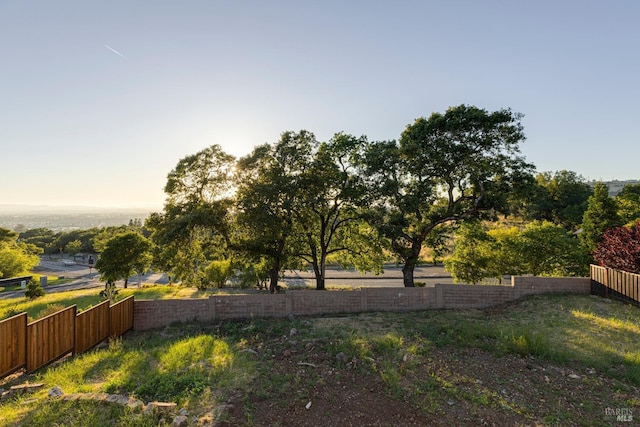 view of yard at dusk