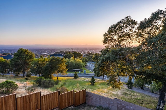 view of yard at dusk