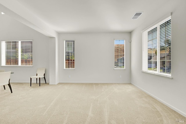 empty room featuring light carpet and a healthy amount of sunlight