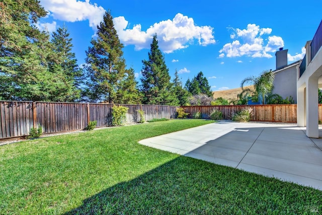 view of yard featuring a patio