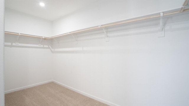 spacious closet featuring carpet flooring