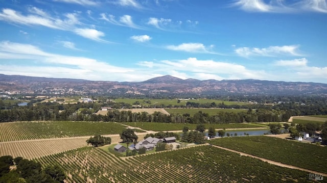 drone / aerial view featuring a rural view and a water and mountain view