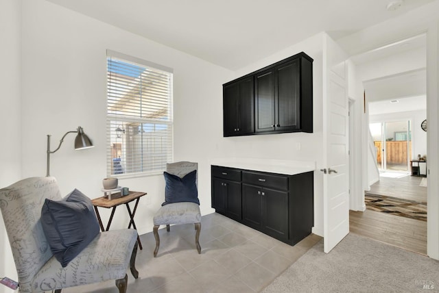 living area featuring light hardwood / wood-style floors