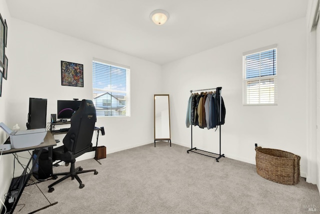 office featuring light carpet