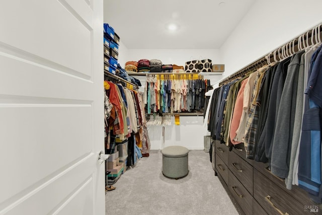 walk in closet featuring light carpet