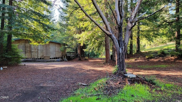 Listing photo 3 for 26030 Comptche Ukiah Rd, Comptche CA 95427