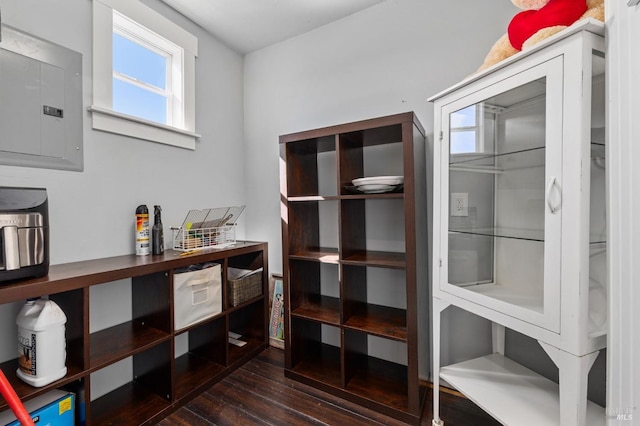interior space with electric panel and dark wood finished floors