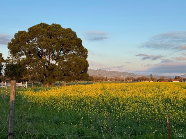 view of home's community with a mountain view, fence, and a rural view