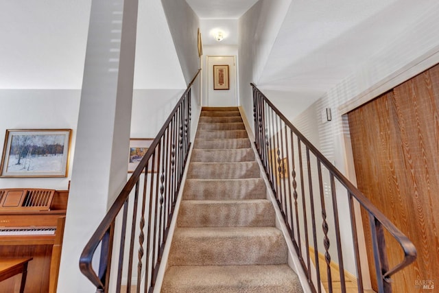 staircase with carpet flooring