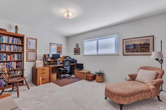 view of carpeted office space