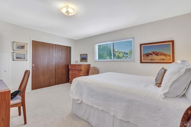 carpeted bedroom featuring a closet