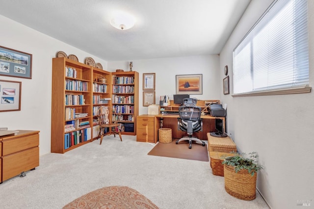 view of carpeted office space