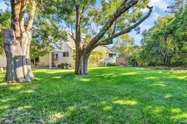 view of yard with a patio area