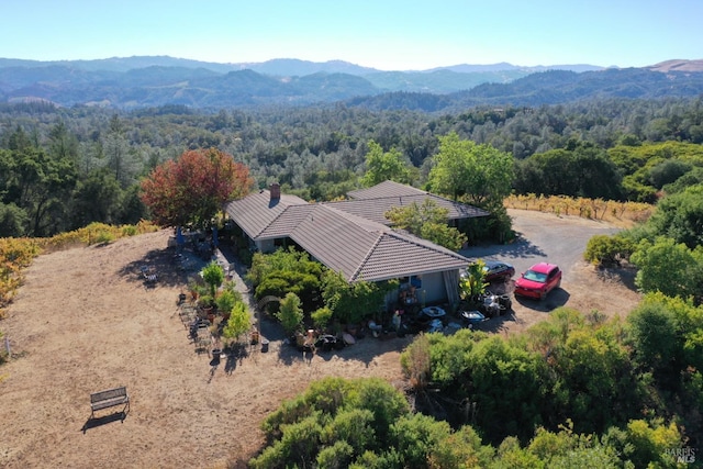 drone / aerial view featuring a mountain view