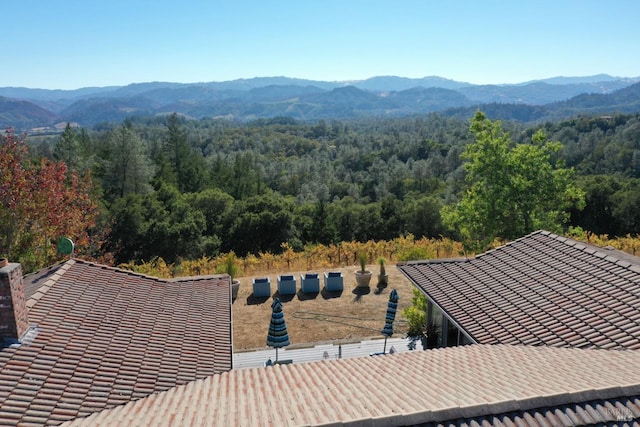 bird's eye view with a mountain view