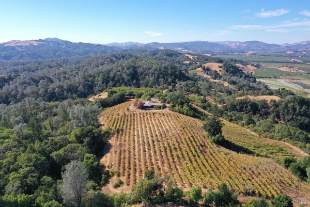 birds eye view of property featuring a mountain view and a rural view