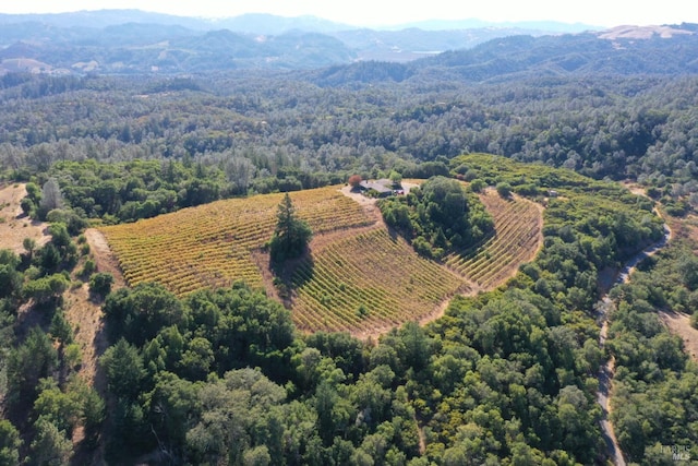 aerial view with a rural view and a mountain view