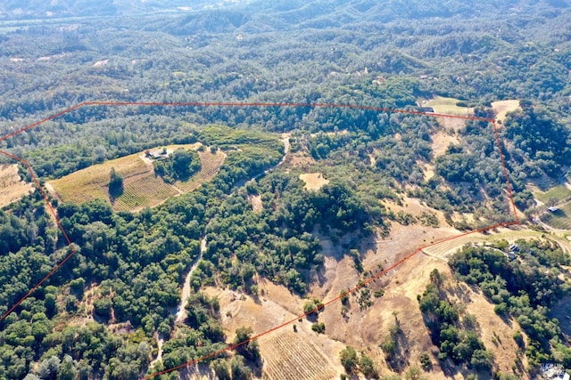 bird's eye view with a rural view