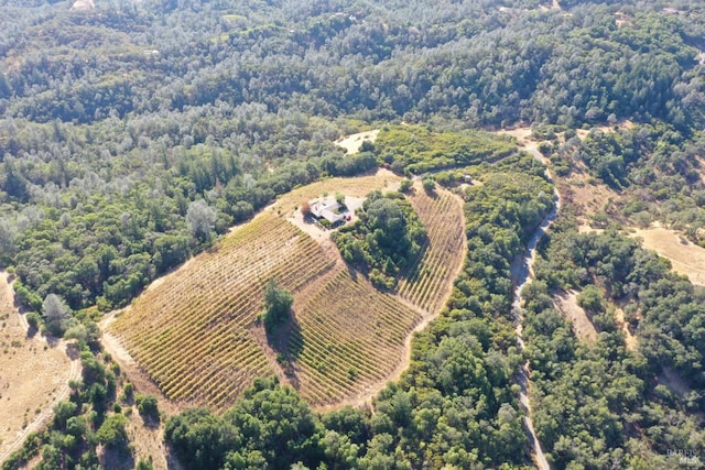 birds eye view of property with a rural view