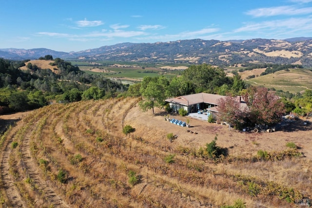 birds eye view of property with a mountain view and a rural view