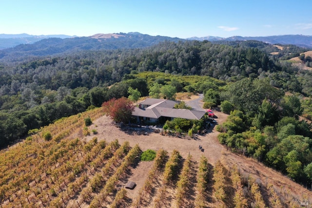 drone / aerial view featuring a mountain view