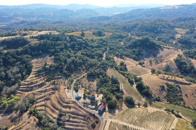 aerial view with a rural view and a mountain view