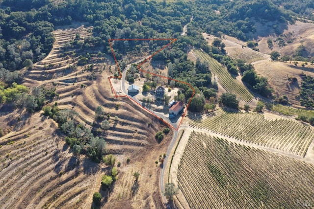 drone / aerial view featuring a rural view